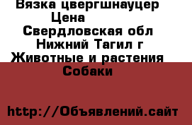 Вязка цвергшнауцер › Цена ­ 1 000 - Свердловская обл., Нижний Тагил г. Животные и растения » Собаки   